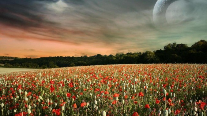 Anthropic 推出的 Claude Code Agent 有哪些亮点值得关注？